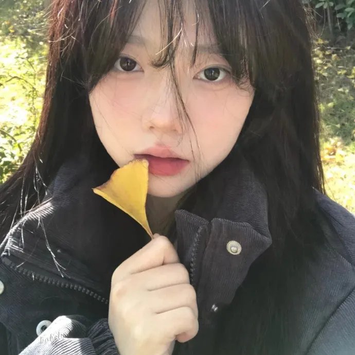 姊妹艳传